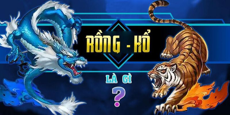 Luật Chơi Rồng Hổ 009 Như Thế Nào?